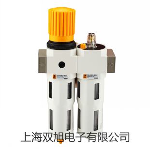 【雙旭牌】測量控制儀PHG-217D配PHGF-43銷售